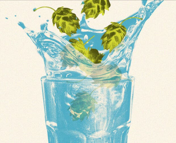 Illustration of hops falling into a glass of water