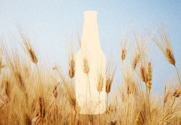 Barley with an illustration of a beer bottle