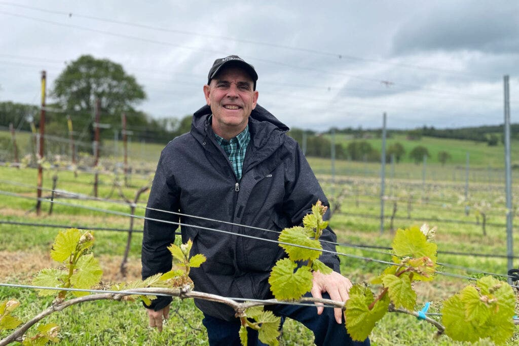 Mark Björnson next to Gouais Blanc grape vines