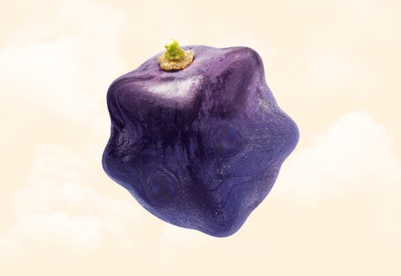 a warped grape on a smoke background
