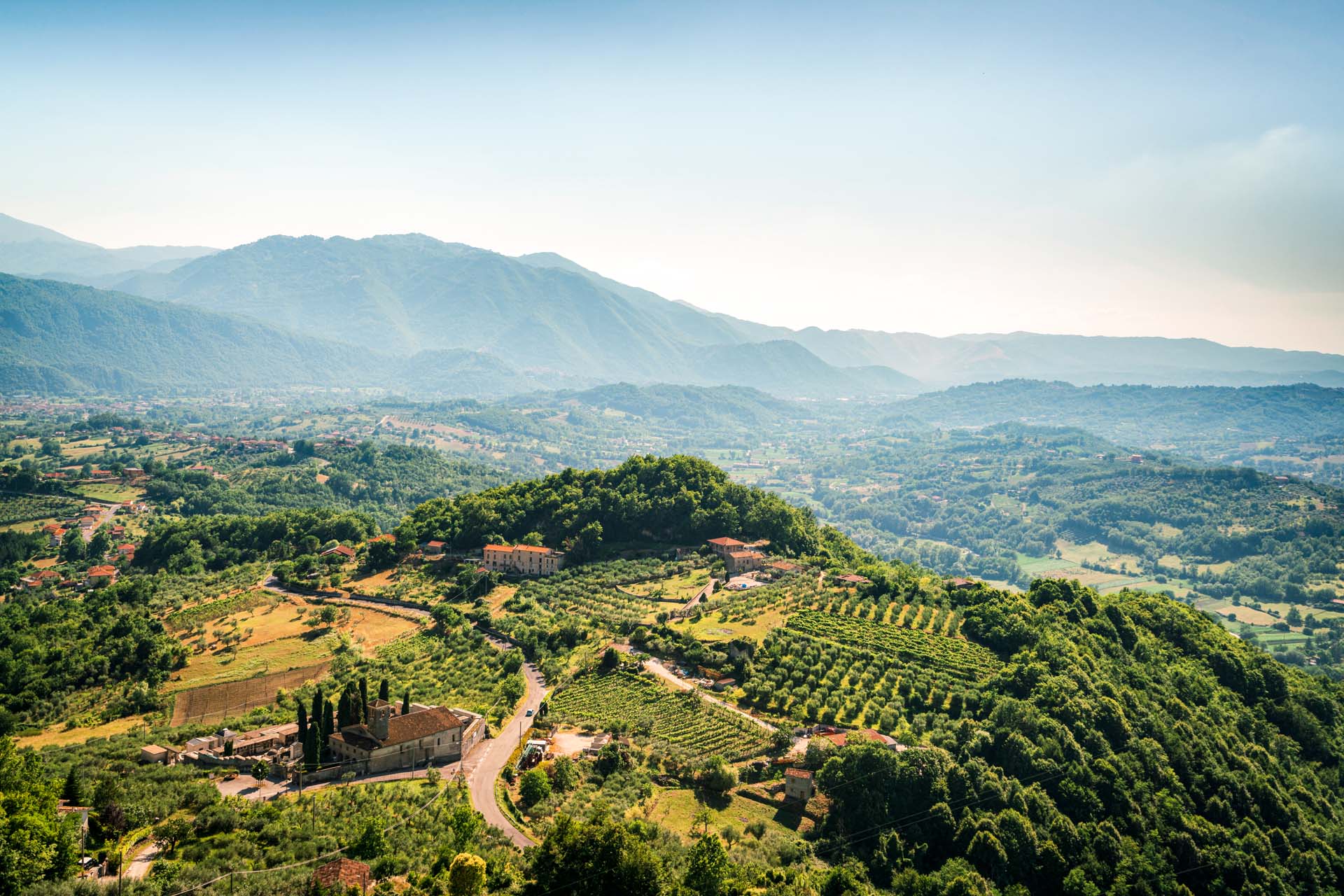 Abruzzo vineyards